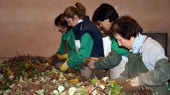 Trabajadoras extranjeras en una planta de la provincia segoviana.