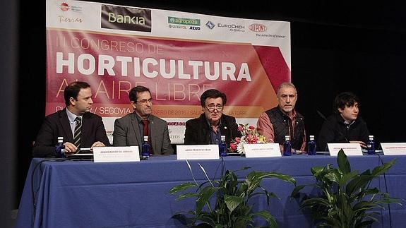 El sector hortícola de la comarca de Cuéllar busca soluciones contra las plagas