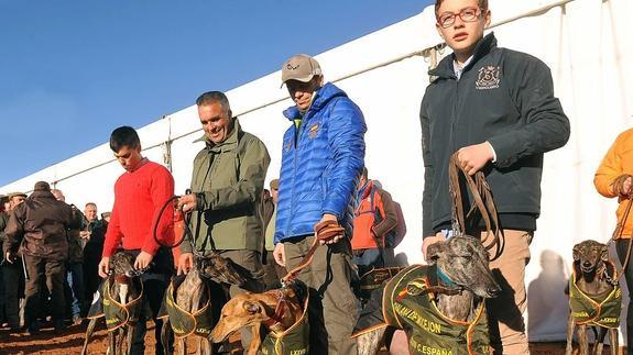Las cuatro galgas de Castilla y León. De momento, solo la salmantina (primera por la derecha), se ha clasificado. 