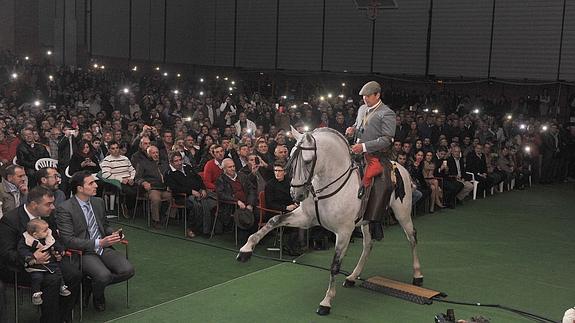 La exhibición de doma vaquera fue una de las actuaciones más aplaudidas. 