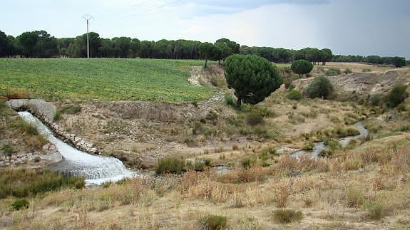 Desagüe de la Balsa de Nava de Arévalo en el río Arevalillo.