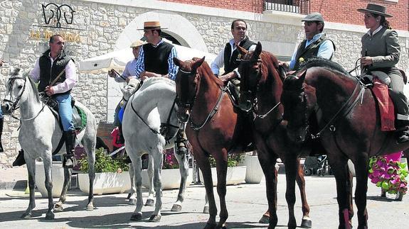 Amigos del Caballo programa cursos y conferencias sobre salud equina