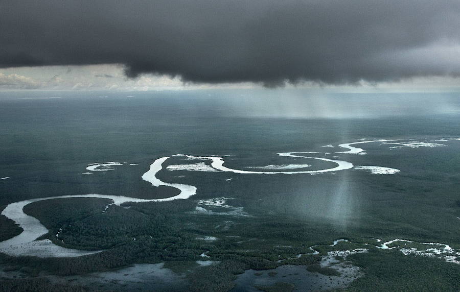 Lluvia sobre la selva amazónica 