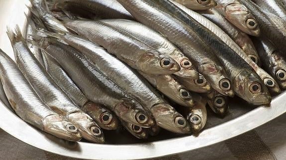 ¿Por qué hay cada vez más anisakis en el pescado?