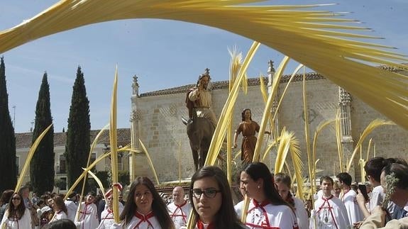 Procesión de La Borriquilla, entre palmas y cofrades del Santo Sepulcro.