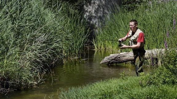 Un pescador trata de pescar una trucha. El Norte