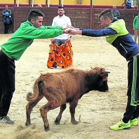 Jóvenes disfrutan en una de las actividades de la ACTC 