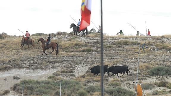 Taurotormes, Campos y Ruedos y Jorge Gómez optan a dirigir los encierros