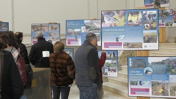Exposición de los proyectos desarrollados por ‘la Caixa’ y Fundación Caja de Burgos en el vestíbulo de la Diputación Provincial. 