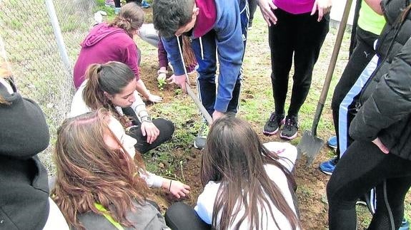 Un grupo de alumnos del IES Vega del Pirón planta un árbol en el patio del centro. 