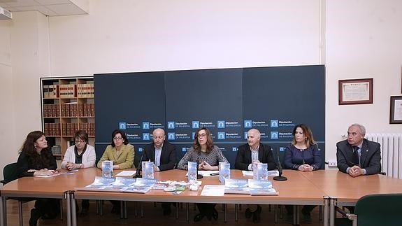 Presentación del programa Hogares Verdes, en la Diputación.