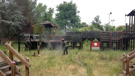 Los bomberos sofocan el fuego por pelusas en el parque Juan de Austria.