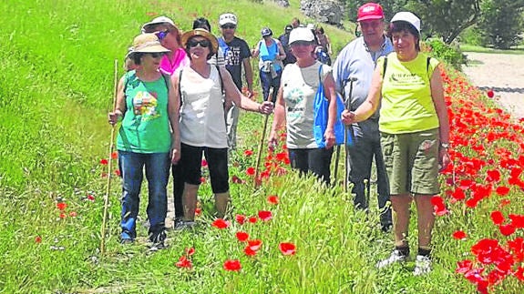 Un grupo de caminantes hacen un alto en la ruta. El Norte