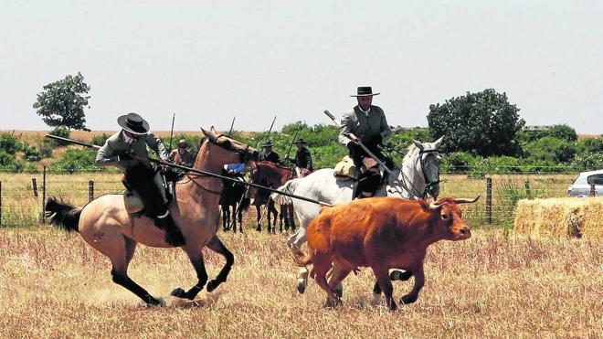 Un instante de la actuación de los primeros clasificados.