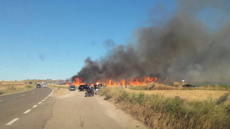 El fuego se extiende por los terrenos de cereal, en la carretera de Soto. 