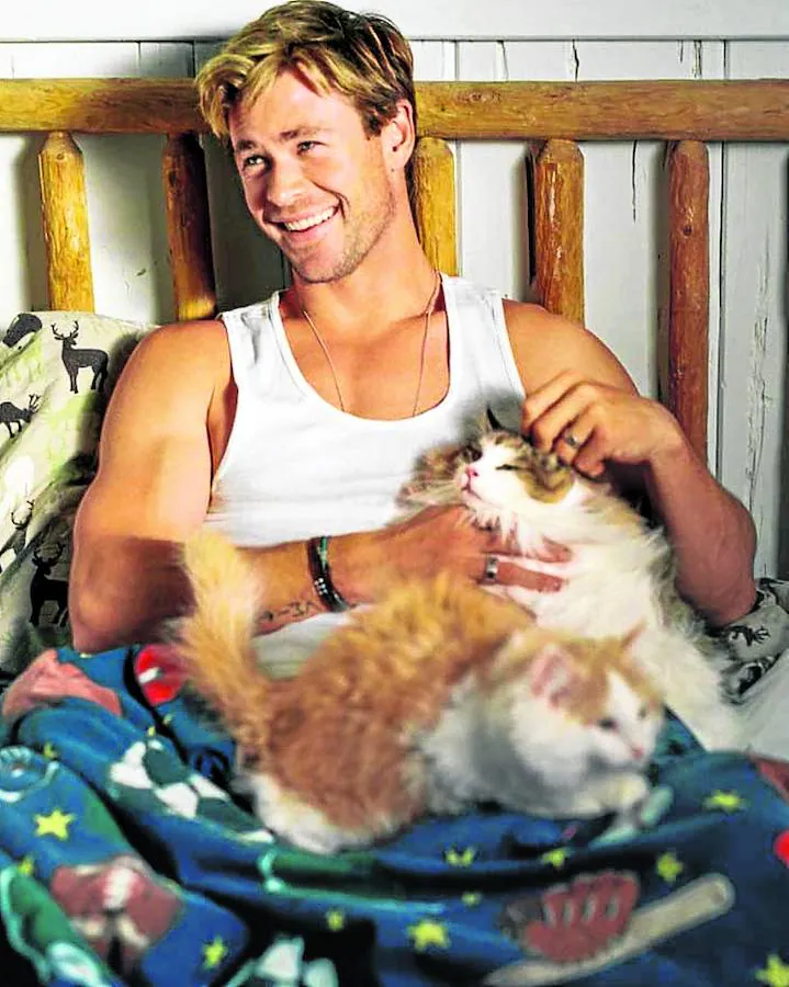 El actor australiano, pareja de Miley Cirus y cuñado de Elsa Pataky, en la cama con un par de gatos de color canela.