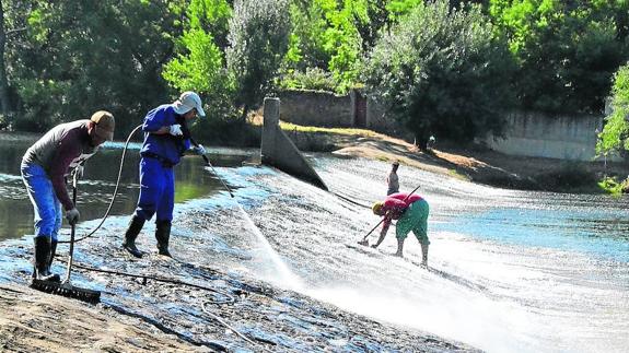 Los técnicos municipales limpian el verdín del muro de la Pesquera. S.G.