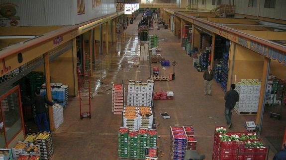 Vista de la nave de frutas de Mercaolid 