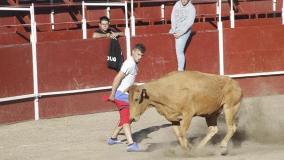 Animado segundo encierro en Campaspero