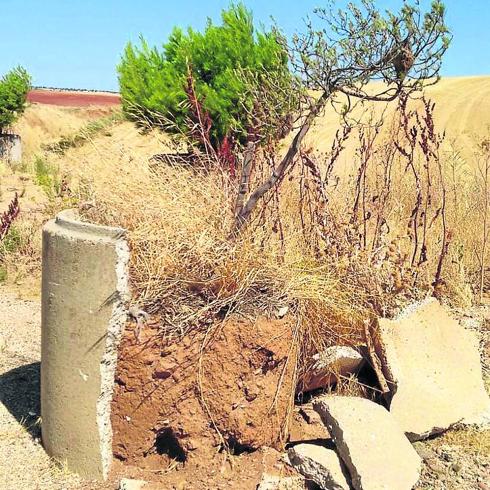 Sobre estas líneas, imagen de la escombrera en la que se ha convertido la finca La Salud, lo que debía ser un área recreativa para disfrute de los salmantinos.