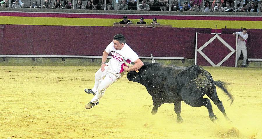 El recortador Eusebio Sacristán ‘Use’ sufre una cogida en el concurso del sábado en Palencia.