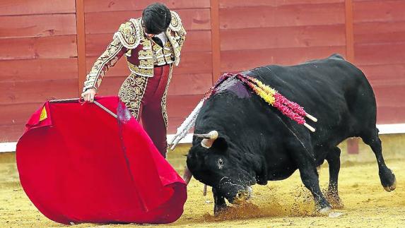 Jarrido torea con gusto en Palencia.