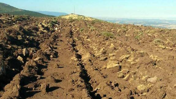 Ecologistas en Acción denuncia el destrozo de un monte del Parque de Guadarrama