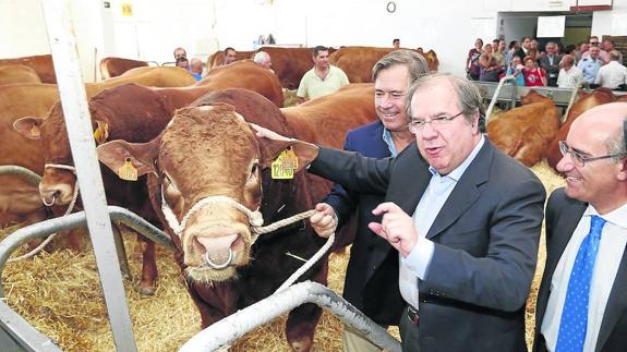 Juan Vicente Herrera, acompañado de Javier Iglesias, durante su visita al ganado expuesto en el recinto ferial de Salamanca.