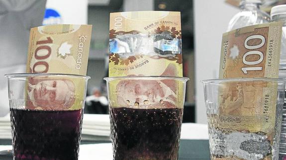 Los billetes de 100 dólares de plástico de Canadá sumergidos en zumo, en refrescos de cola y en agua. A diferencia de los tradicionales, de papel, lo resisten casi todo. El país norteamericano los introdujo en 2011.