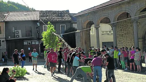 Un buen número de jóvenes y hombres colocando el castillo en la plaza de la Iglesia.