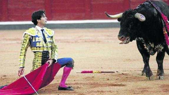 Juan del Álamo, rodilla en tierra, ante el toro indultado.