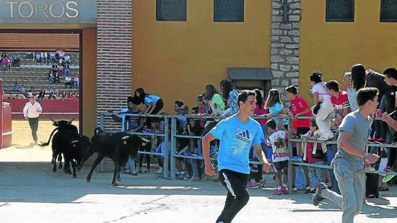 Una de las primeras carreras de la suelta de vaquillas en las fiestas de San Miguel del año pasado. 
