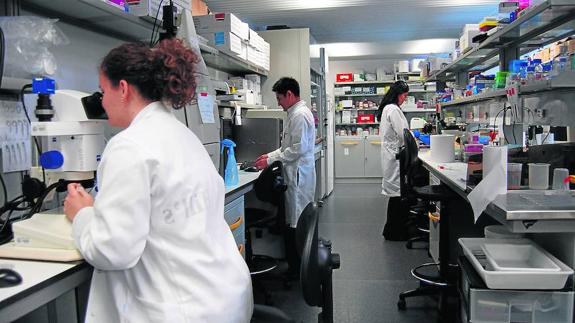 Varios investigadores trabajan en uno de los laboratorios del Instituto de Neurociencias de Castilla y León. 