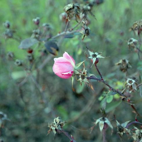 Será complicado ver esta imagen en este otoño que empezamos