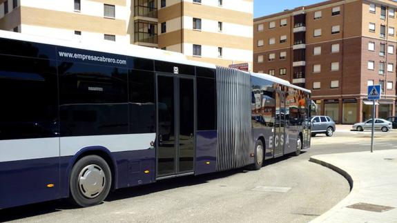 Autobuses que cubren la ruta de Laguna a Valladolid, y que los usuarios piden que sea ampliada hasta el Río Hortega.