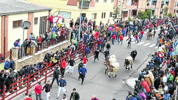 Uno de los encierros del pasado Carnaval del Toro. 