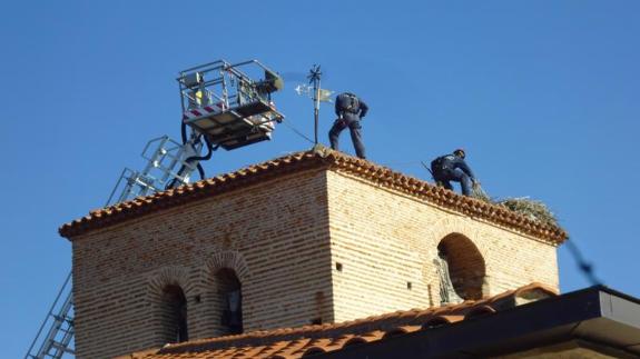 Los bomberos retiran los nidos de la torre de la iglesia de Laguna.