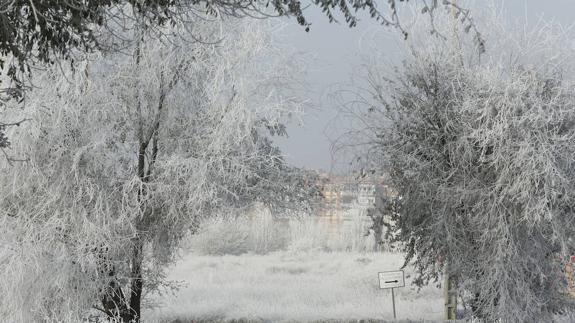 El frío se mantiene en Castilla y León este lunes