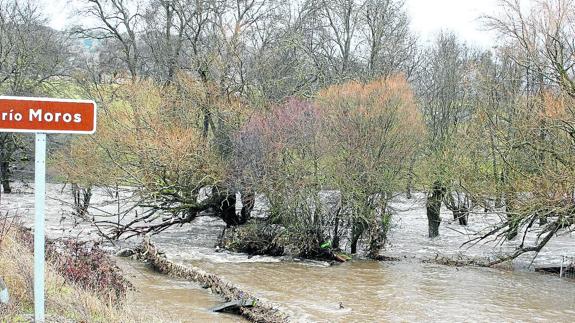 Bajada enfurecida del río Moros, ayer por la mañana, en las proximidades del término de El Espinar. 
