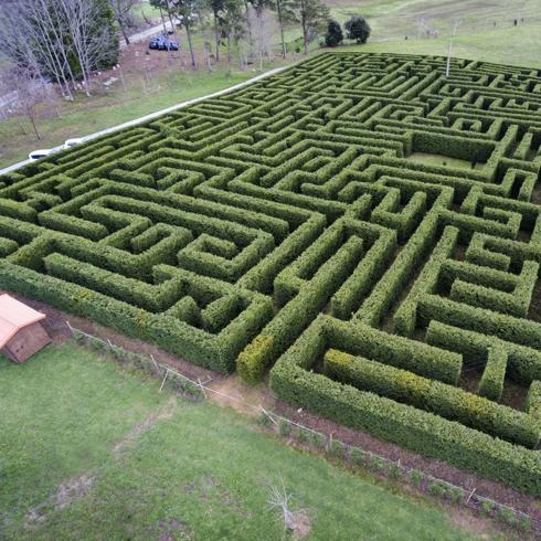 Un lugar perfecto para perderse