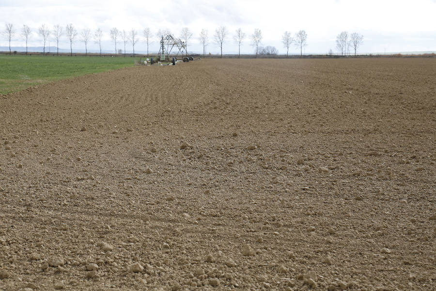 Tierra seca en Fuentes de Nava. 