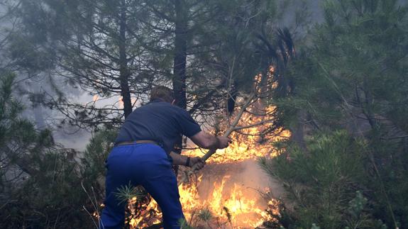 Un hombre intenta apagar las llamas del incendio declarado en el pinar del municipio de Nieva. Pablo Martín-Efe