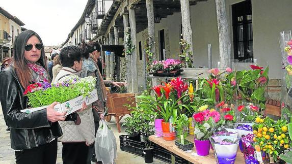 Varios clientes, en el Mercado de la Flor de Ampudia del pasado año.