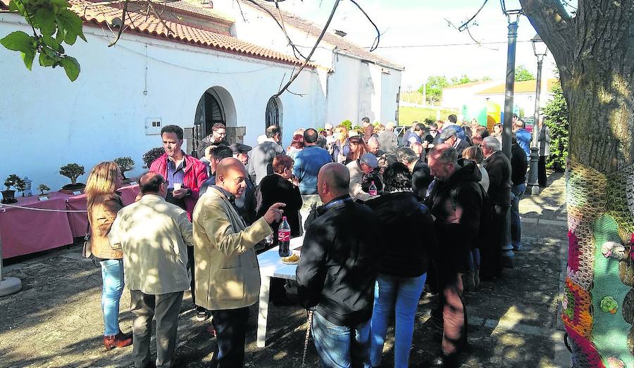 Vecinos de Monterrubio disfrutan del vino de honor.