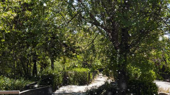 El barrio de La Rondilla, con otra mirada
