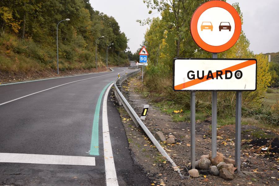 Línea verde pintada en la CL-615. 