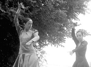 Danzart en la fiesta de Torregutiérrez