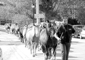 Un ganadero conduce ayer sus caballos a San Salvador de Cantamuda para la feria. / NURIA ESTALAYO