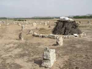 Necrópolis de las ruedas de Pintia. / R. R.