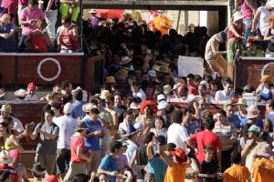 Llegada del encierro a la plaza de toros. / J. GARCÍA